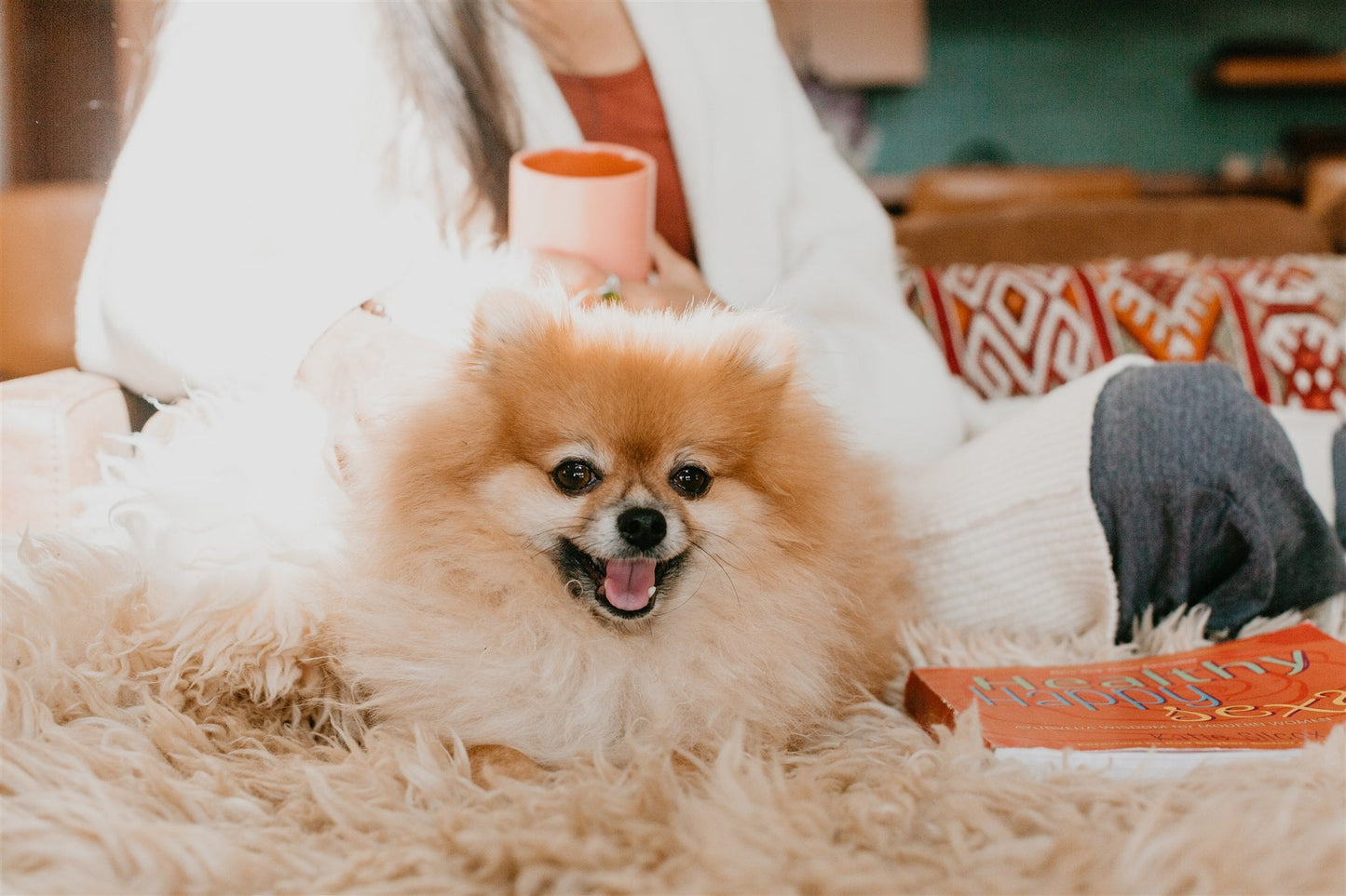Cozy scene with a fluffy dog and a wellness tips for women over 40 book by DC-PAAVANI Ayurveda